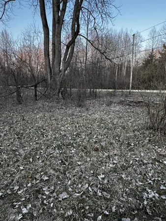 $28,500 | 23027 Miramichi Drive, Evart, MI 49631