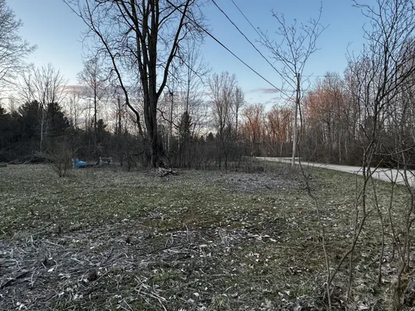 $28,500 | 23027 Miramichi Drive, Evart, MI 49631