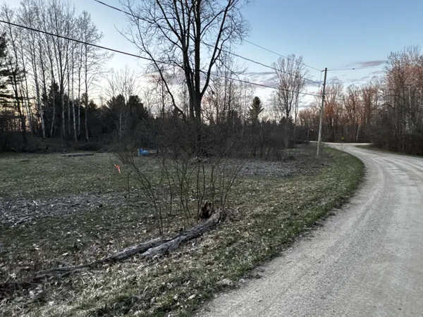 $28,500 | 23027 Miramichi Drive, Evart, MI 49631