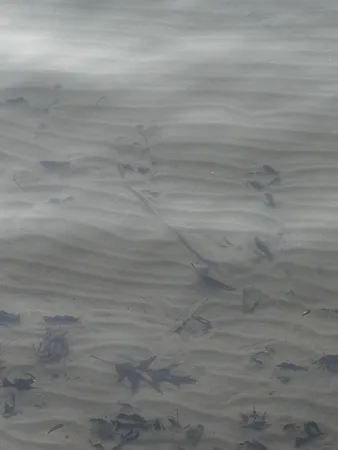 $28,500 | 23027 Miramichi Drive, Evart, MI 49631