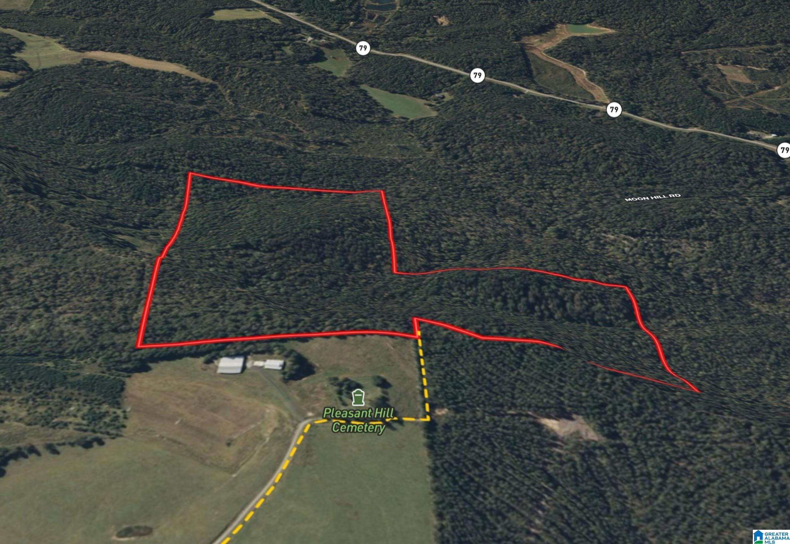 0 Bright Star Road, Unit 123 / ACRES Horton, AL 35980 - Photo 18 of 21