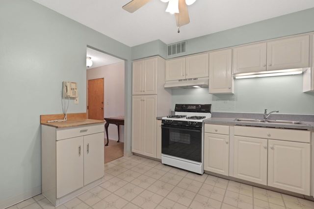 8809 West Golf Road, Unit 2B Niles, IL 60714 - Photo 12 of 17 a kitchen with granite countertop a sink and cabinets