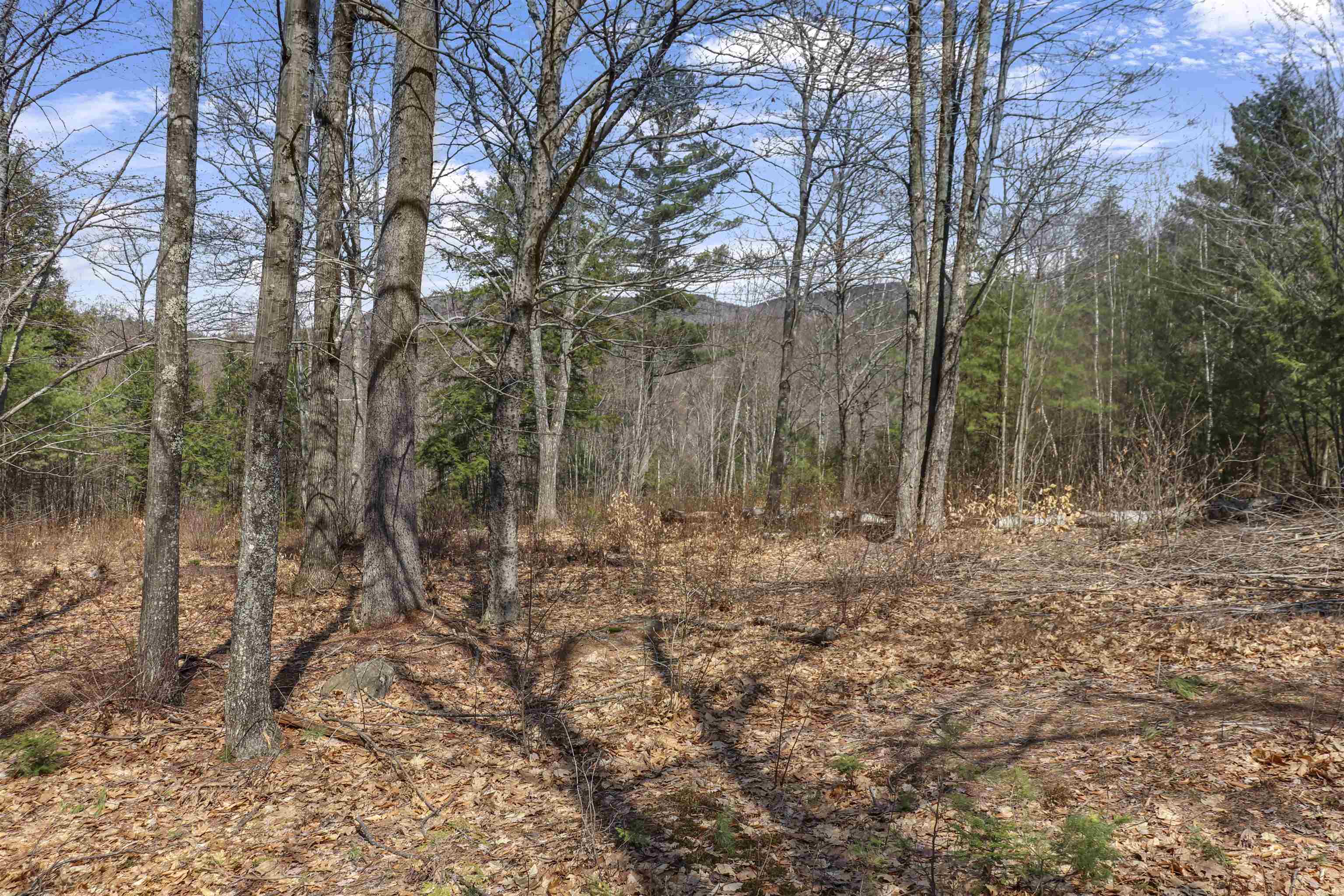 Lot 59 Deacon Willy Road Campton, NH 03223 - Photo 28 of 28