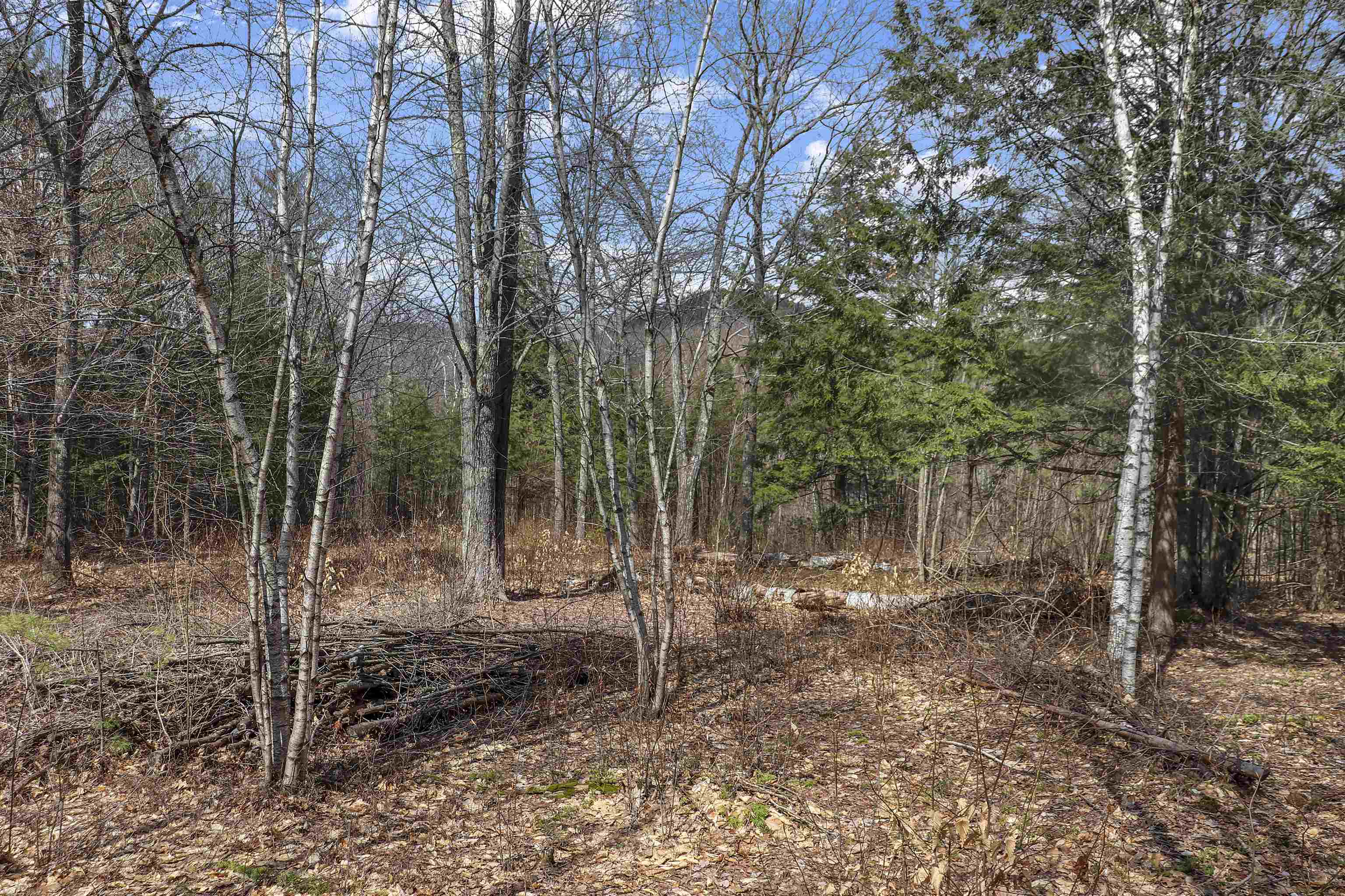 Lot 59 Deacon Willy Road Campton, NH 03223 - Photo 3 of 28