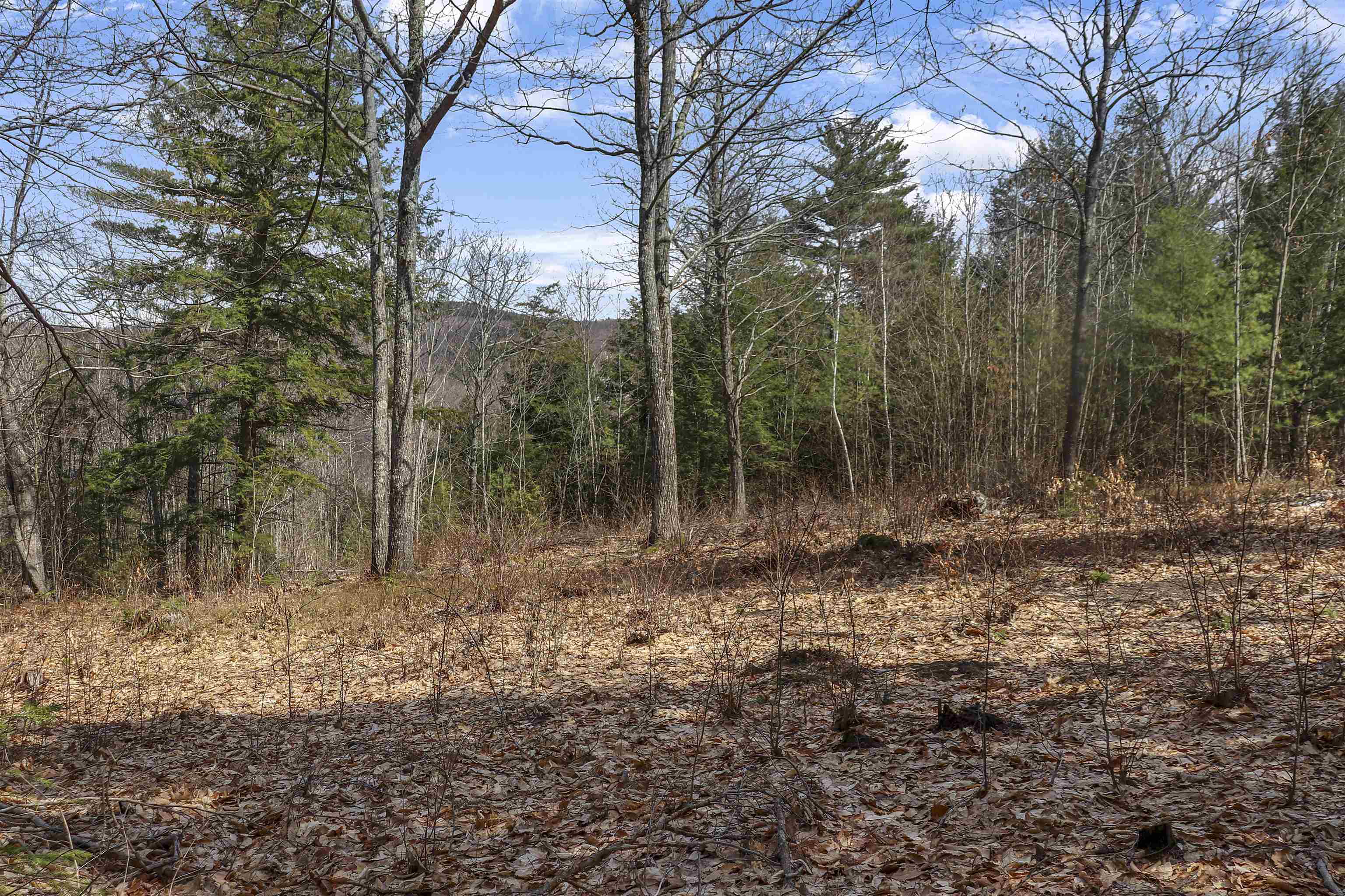 Lot 59 Deacon Willy Road Campton, NH 03223 - Photo 6 of 28