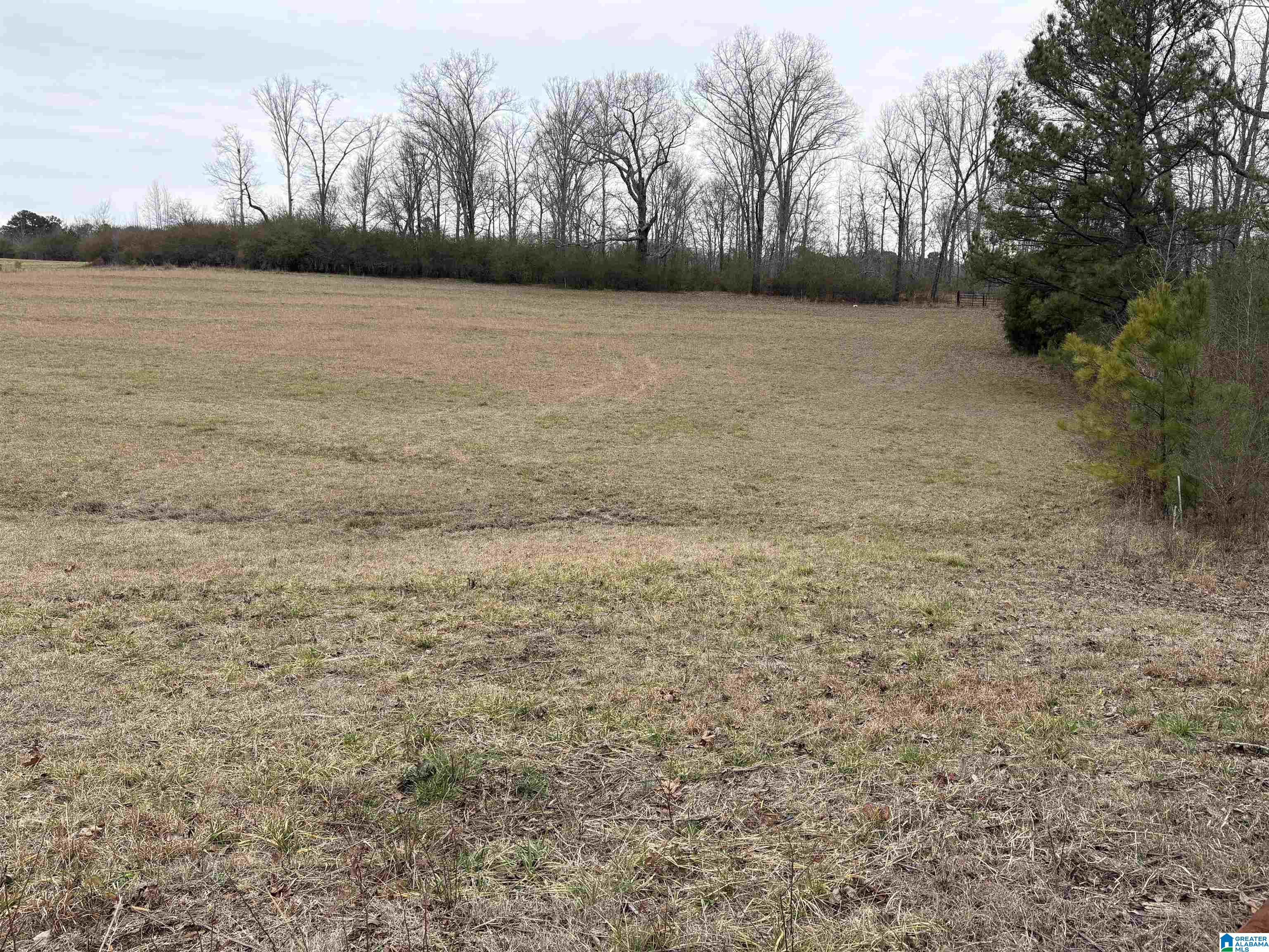 3349 Nail Road, Unit 40 6 ACRES / Warrior, AL 35180 - Photo 3 of 16
