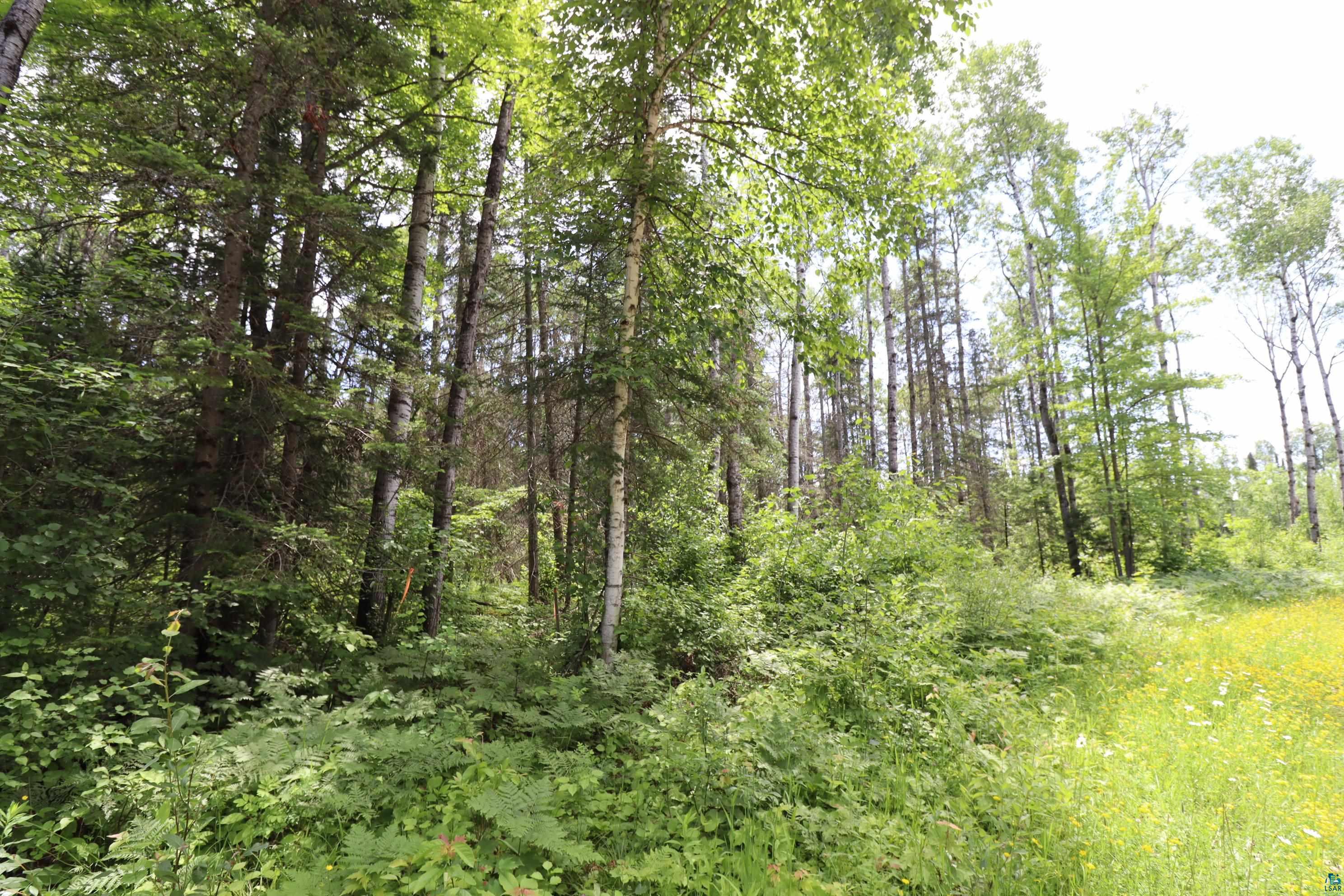Lot 1 Campbell Road Herbster, WI 54844 - Photo 12 of 14
