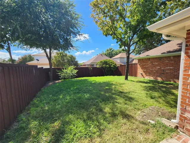 a view of a backyard with a tree