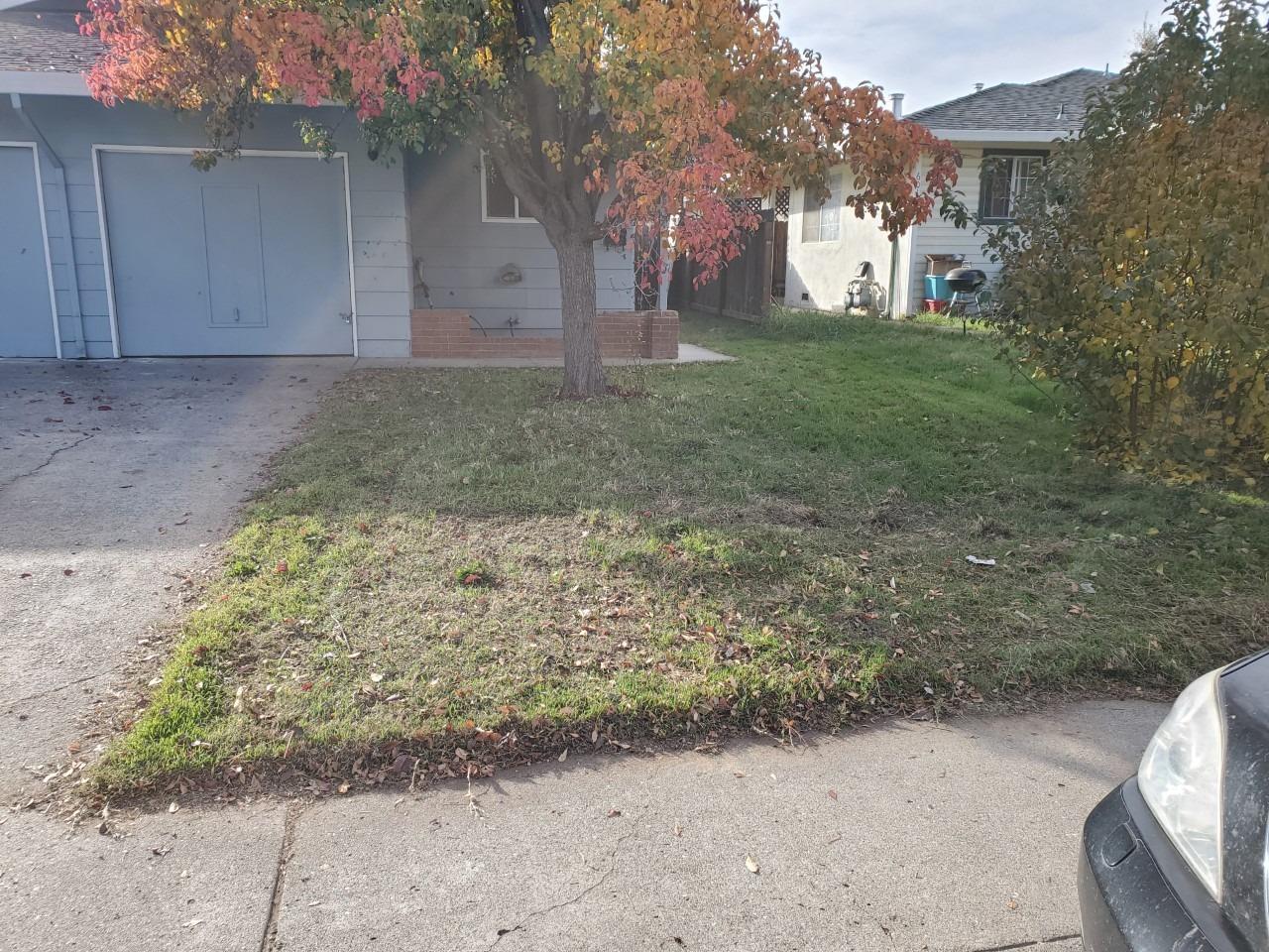 6012-6014 Bourbon Drive Carmichael, CA 95608 - Photo 2 of 30 a view of a yard with plants and trees