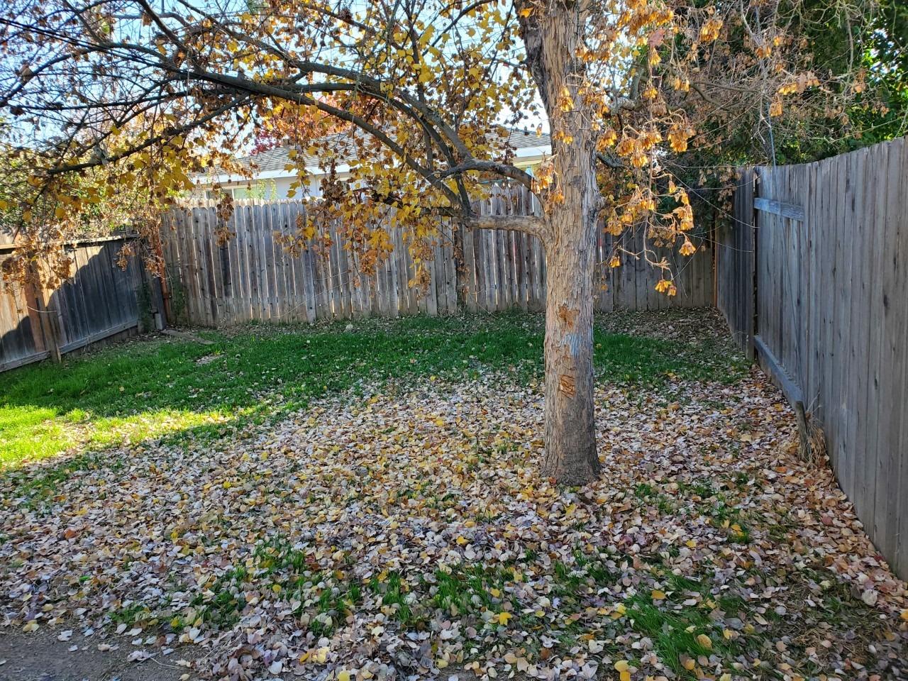 6012-6014 Bourbon Drive Carmichael, CA 95608 - Photo 21 of 30 a pathway of a yard with wooden fence