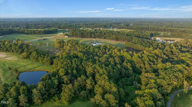 an aerial view of residential houses with outdoor space and trees