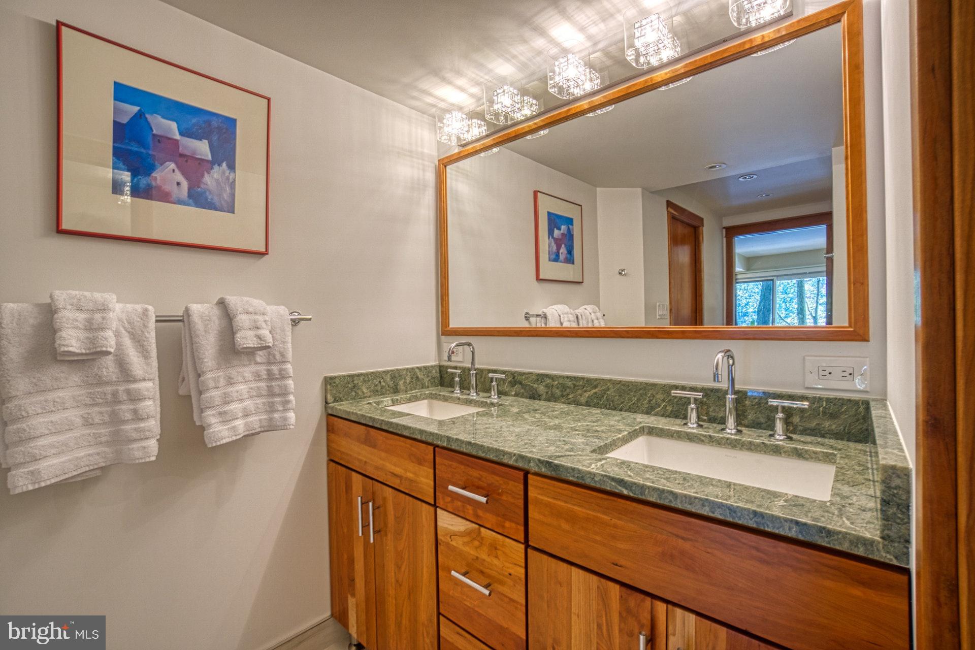 1516 Inlet Court Reston, VA 20190 - Photo 29 of 37 Master bath