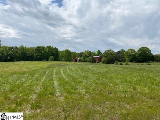 254 Grey Road Pelzer, SC 29669 - Photo 8 of 22