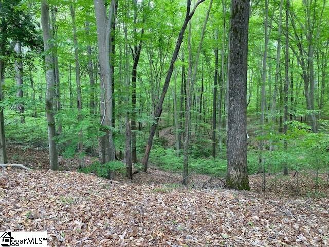 254 Grey Road Pelzer, SC 29669 - Photo 10 of 22