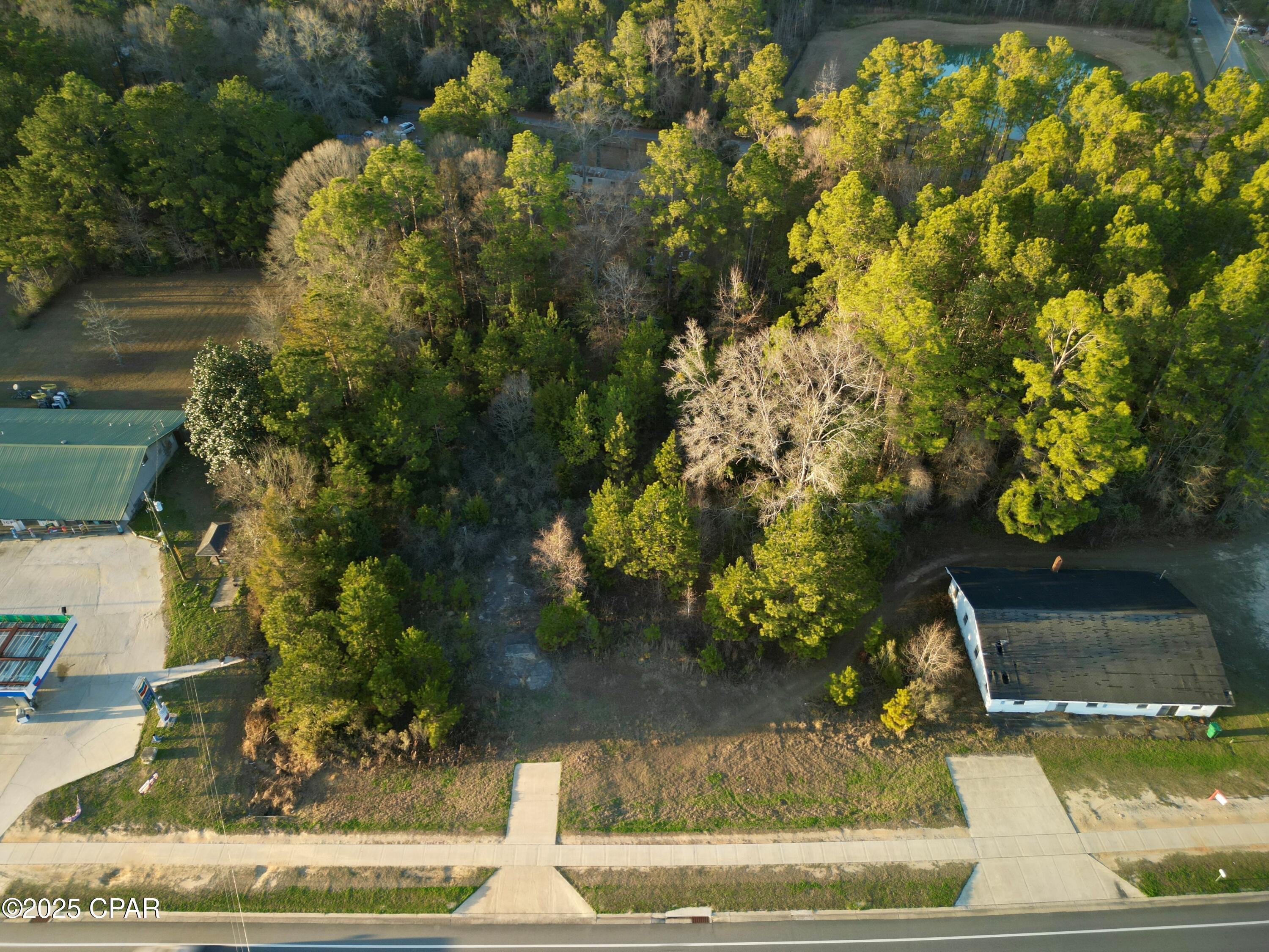 0 Main Street Vernon, FL 32462 - Photo 4 of 10