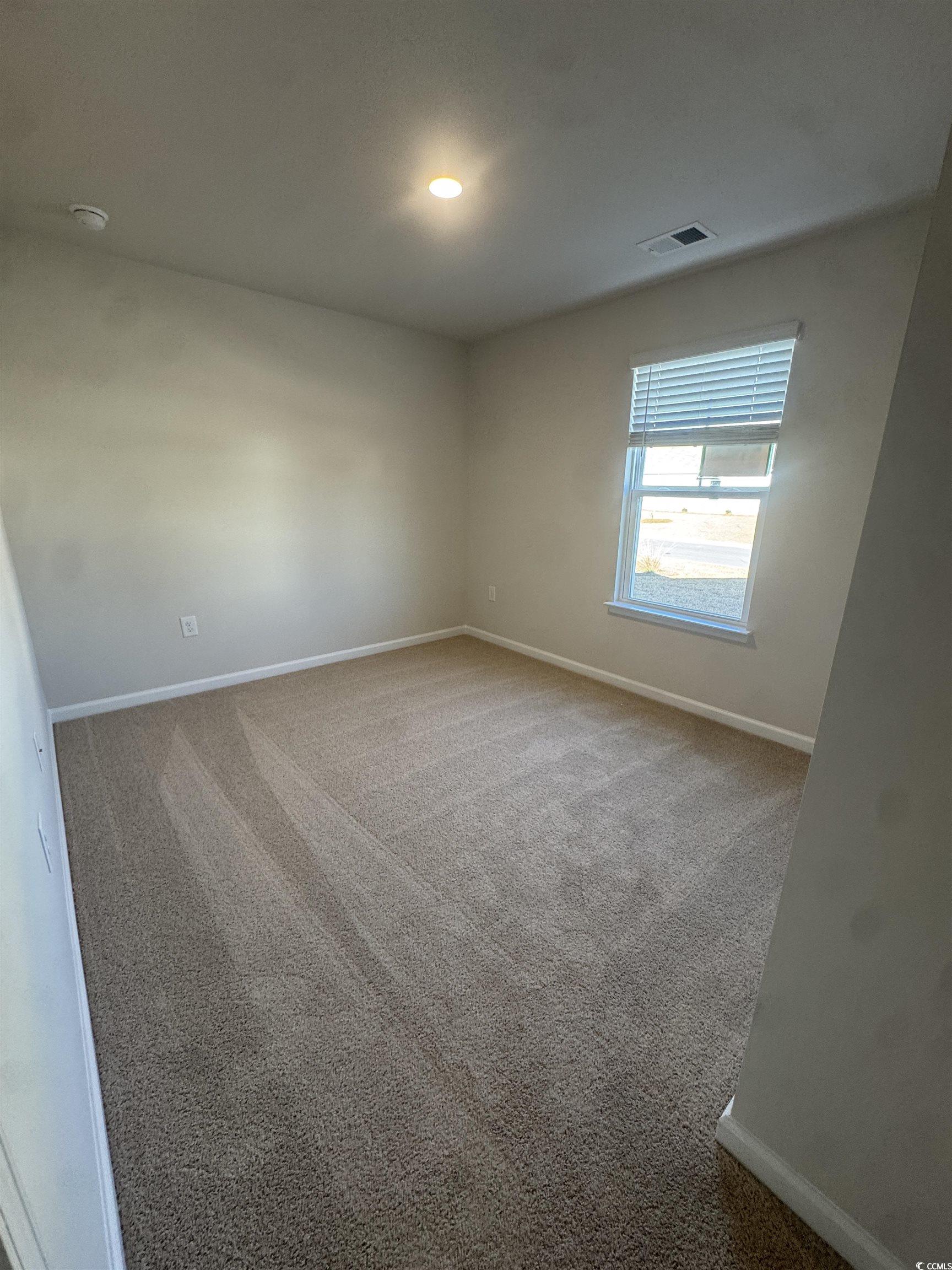 390 Acosta Circle Conway, SC 29527 - Photo 17 of 28