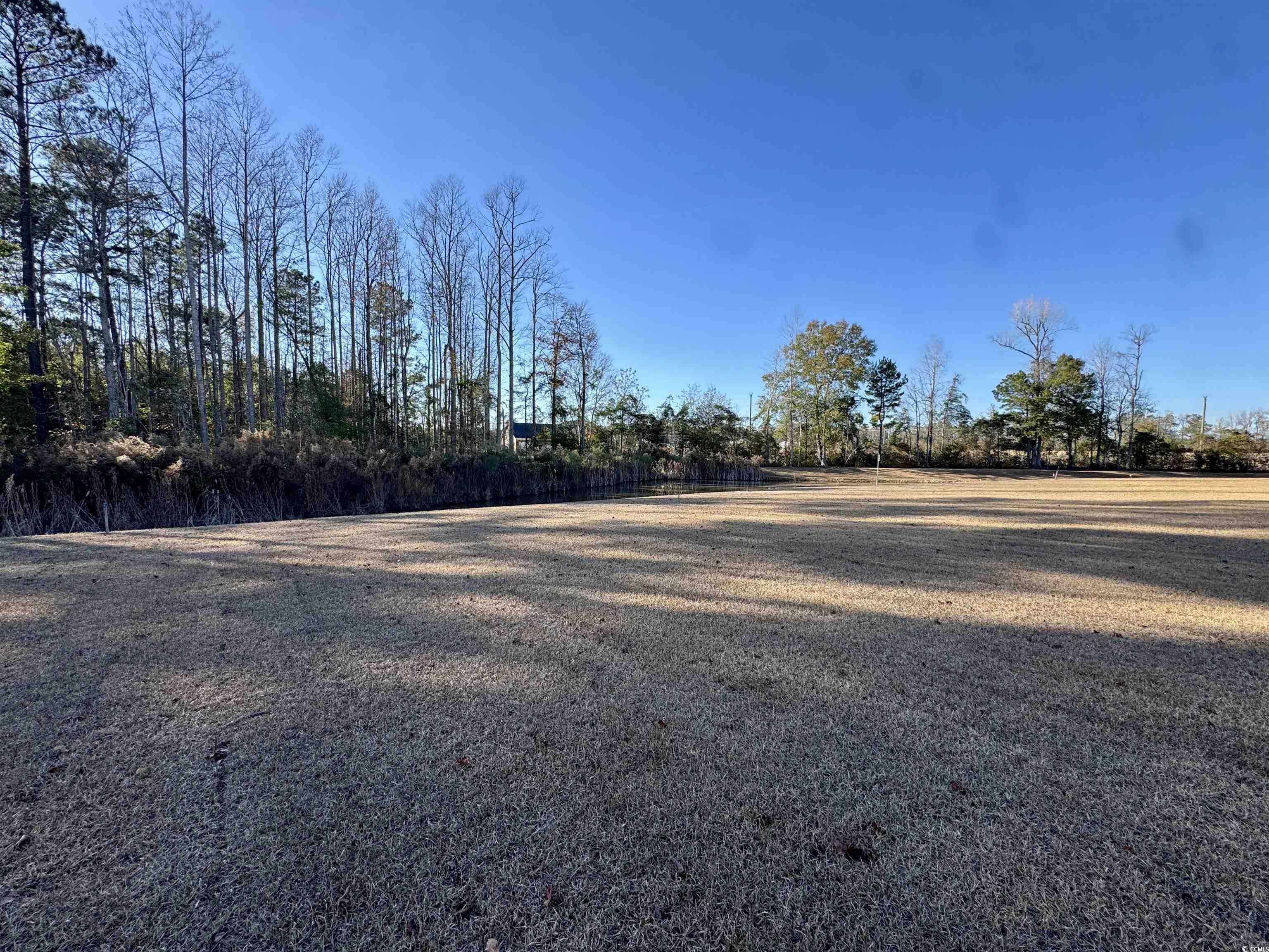 390 Acosta Circle Conway, SC 29527 - Photo 23 of 28