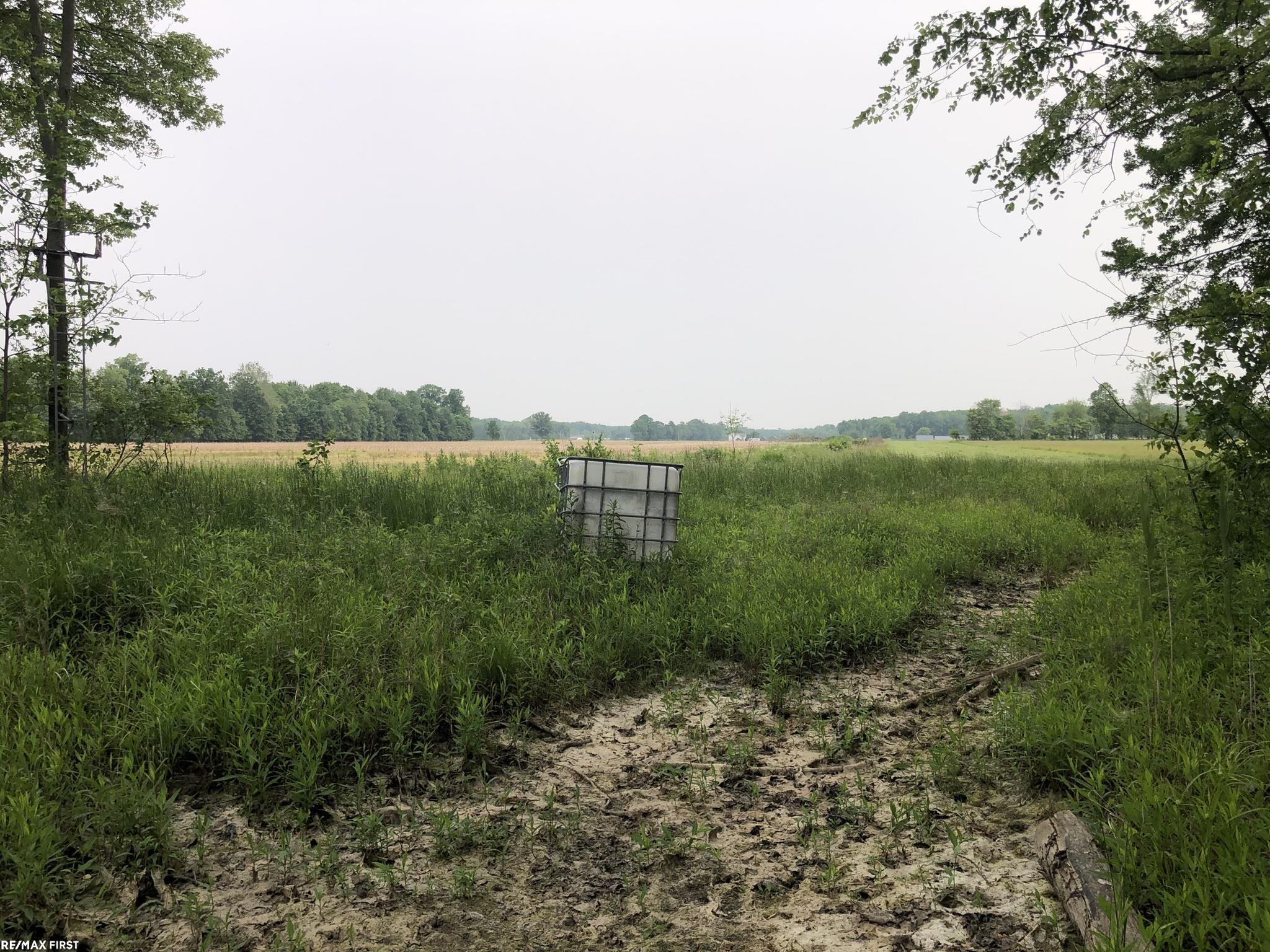0 29 29 Mile Road New Haven, MI 48050 - Photo 34 of 38