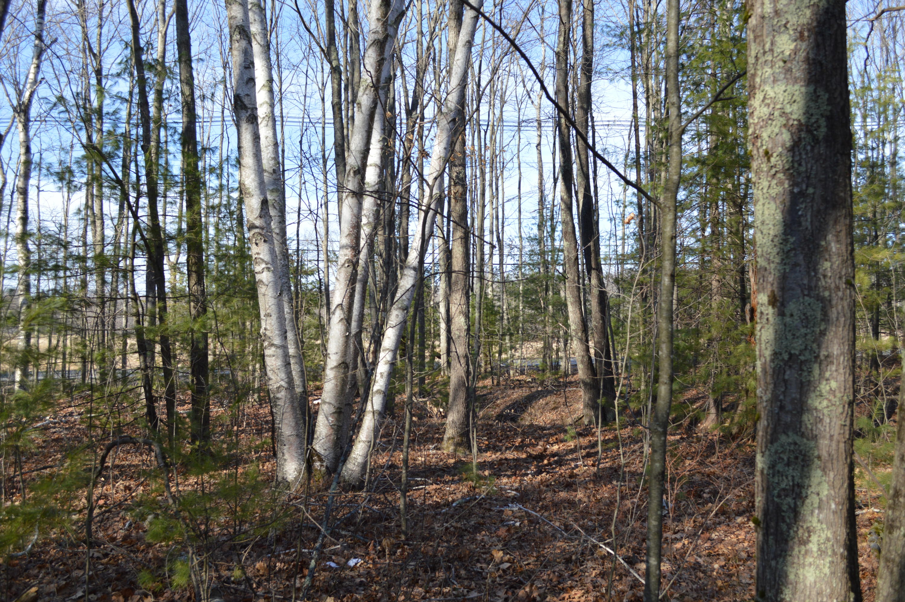 270 Alfred Road Kennebunk, ME 04043 - Photo 4 of 8 DSC_0710