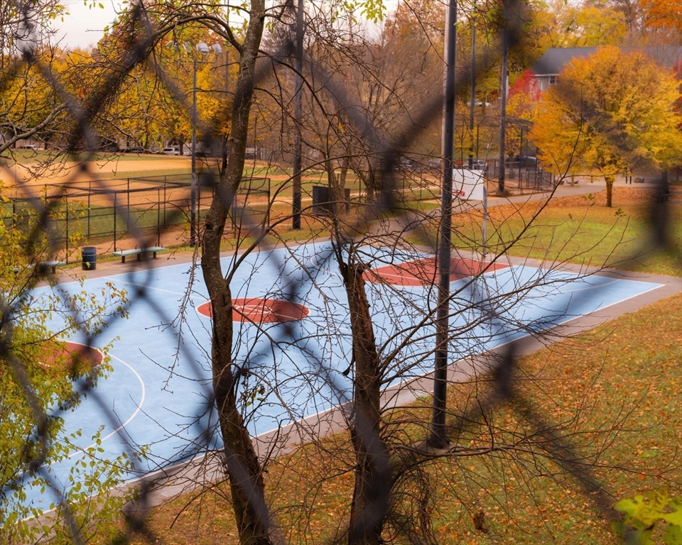 240 Heath Street, Unit PH16 Boston, MA 02130 - Photo 28 of 31 a backyard of a house with large trees