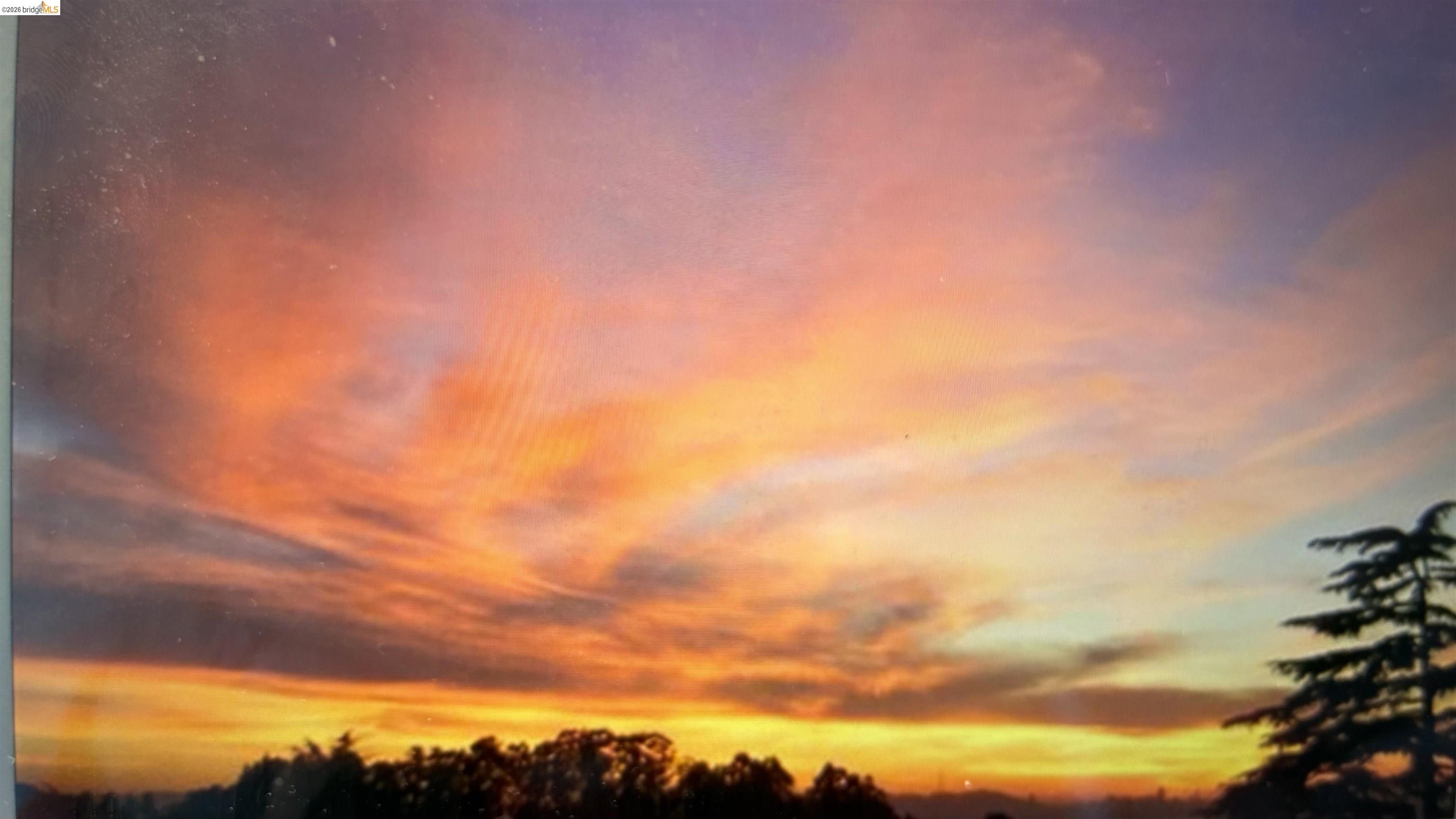 135 Alta Road Oakland, CA 94618 - Photo 33 of 42 View of nature at dusk