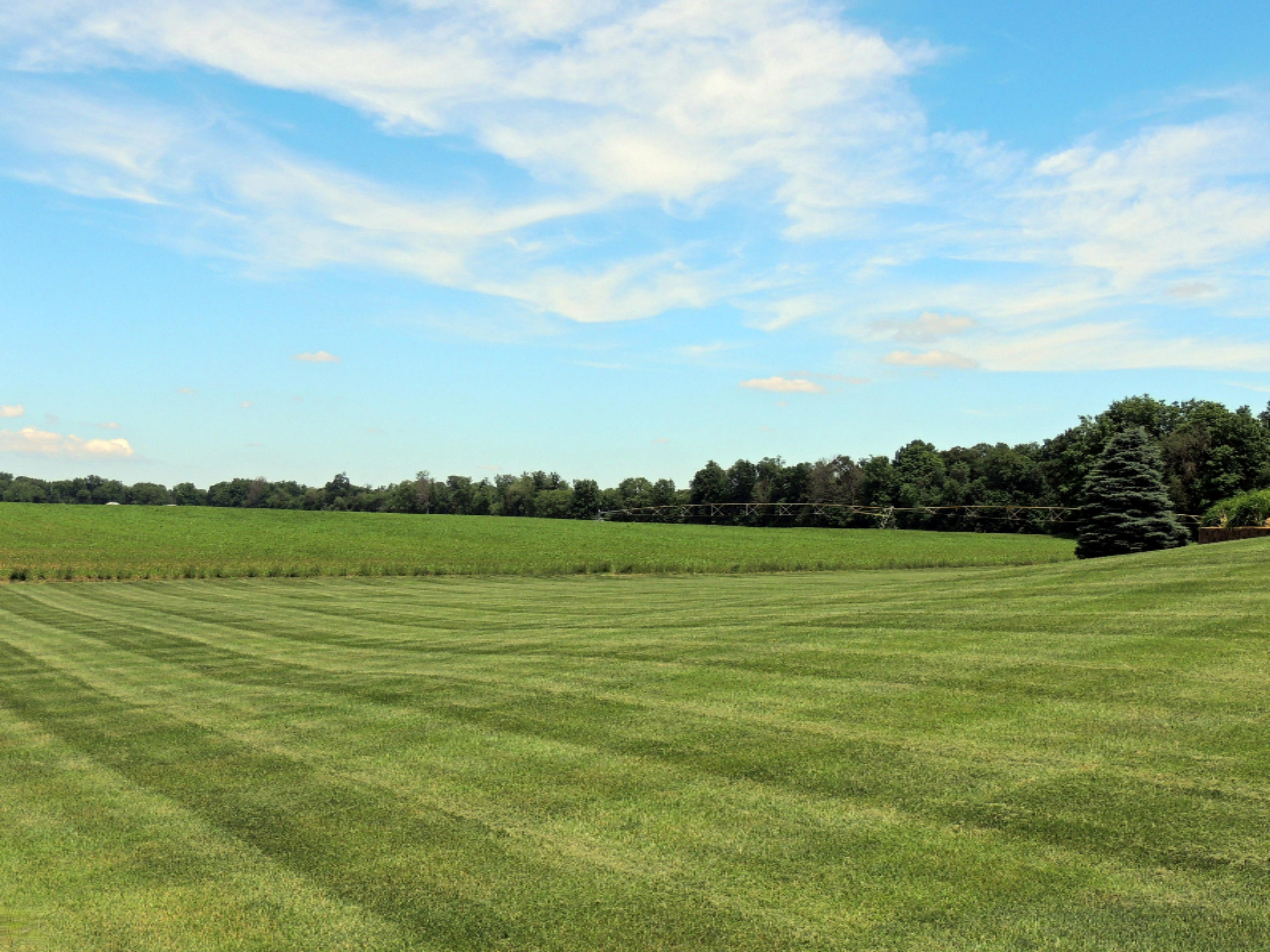 61729 Dailey Road Cassopolis, MI 49031 - Photo 27 of 40 DSCN4881