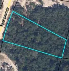 a view of a dry yard with wooden fence