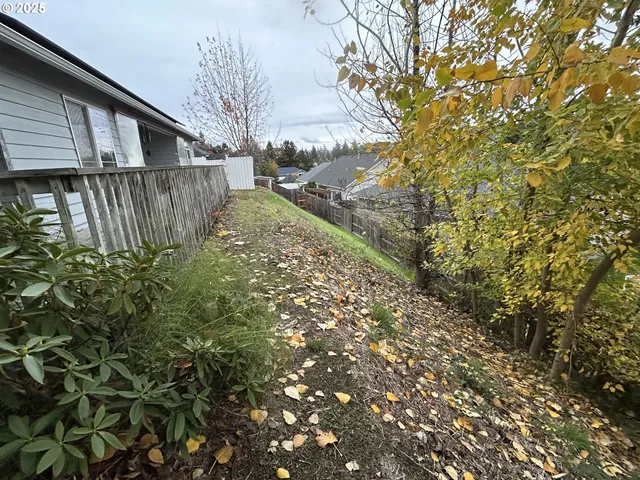 a view of a backyard