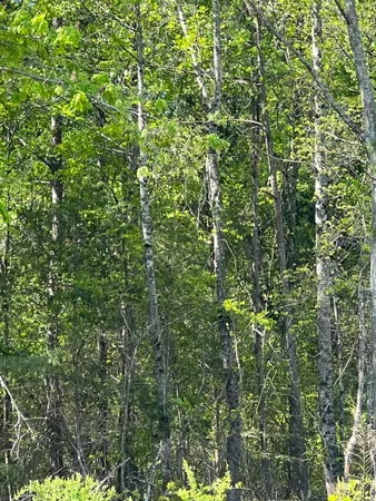 $75,000 | 0 Jeff Woodfin Road, Inman, SC 29349