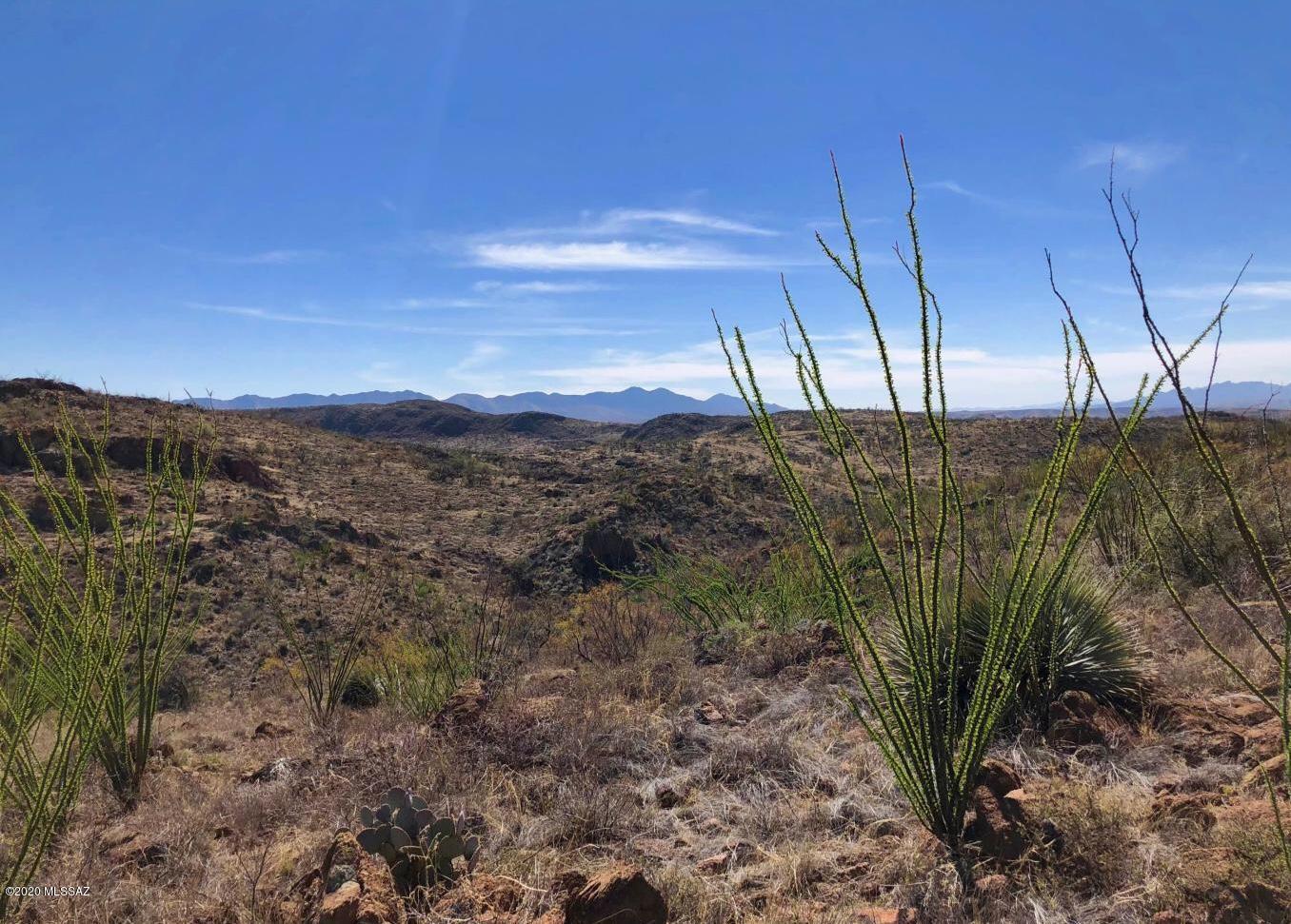 665 Grosvenor Road, Unit 115 Rio Rico, AZ 85648 - Photo 8 of 13