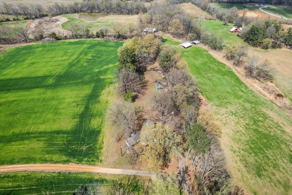 145 Quail Road Covington, TN 38019 - Photo 32 of 33 a view of a garden with a plants and large trees