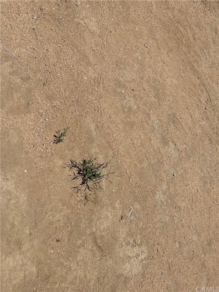 1 Cobalt Road Joshua Tree, CA 92252 - Photo 1 of 1