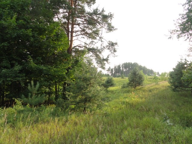 8617 Ruttan Road Northwest Alden, MI 49612 - Photo 16 of 28 1848940-15.JPG