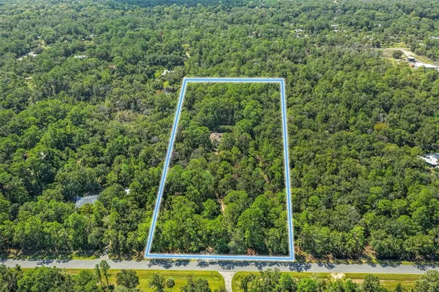 a view of a yard with an trees