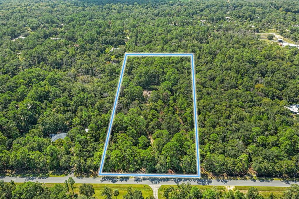 4270 Southeast 193rd Place Yankeetown, FL 34498 - Photo 34 of 42 a view of a yard with an trees