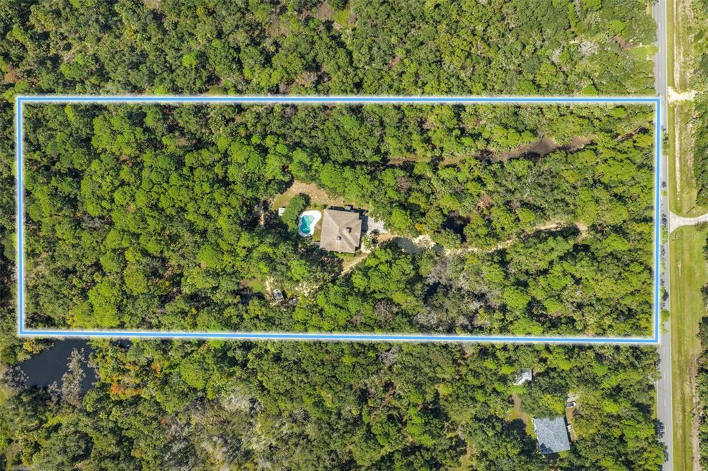 4270 Southeast 193rd Place Yankeetown, FL 34498 - Photo 36 of 42 a view of a forest