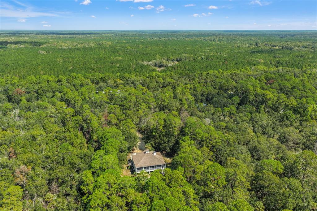 4270 Southeast 193rd Place Yankeetown, FL 34498 - Photo 38 of 42 a view of a green yard with a bench