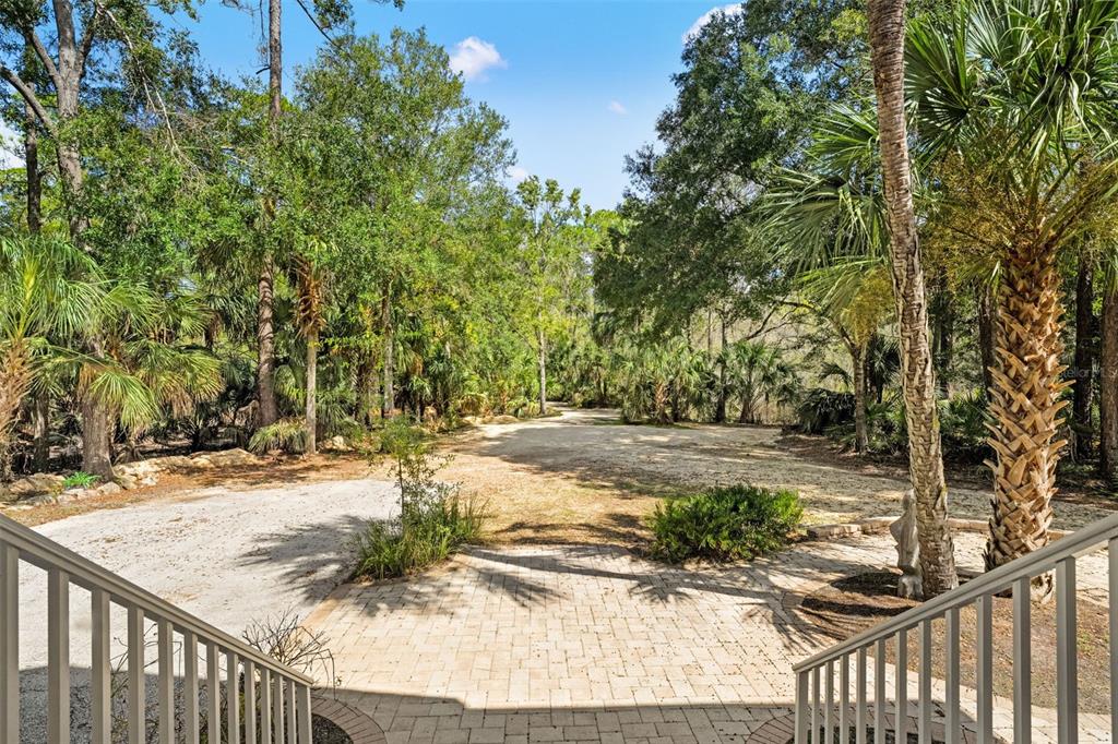 4270 Southeast 193rd Place Yankeetown, FL 34498 - Photo 42 of 42 a view of a backyard of the house