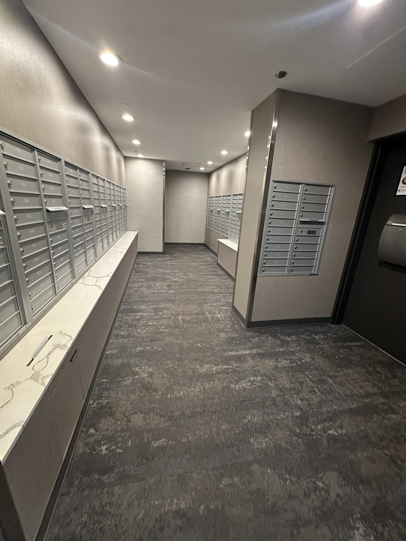 1901 South Calumet Avenue, Unit 2912 Chicago, IL 60616 - Photo 5 of 32 a view of entryway
