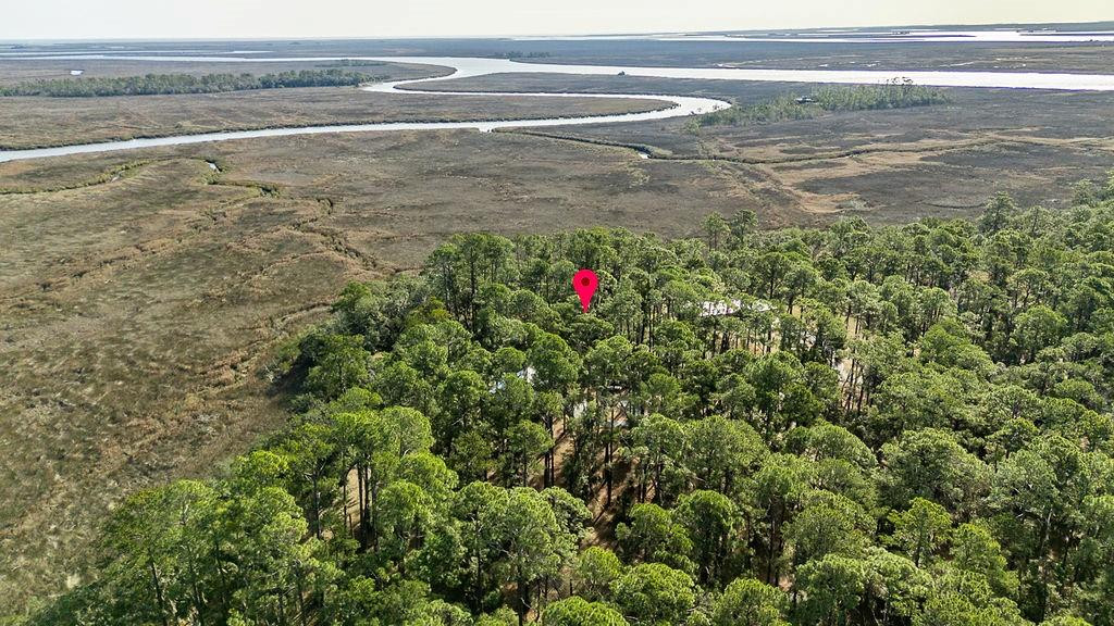 0 Oak Bluff Road Southeast McRae-Helena, GA 31037 - Photo 12 of 47