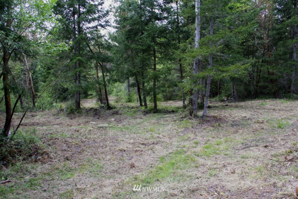 0 Fox Trail Road Port Townsend, WA 98368 - Photo 1 of 9 Gallery Image 1