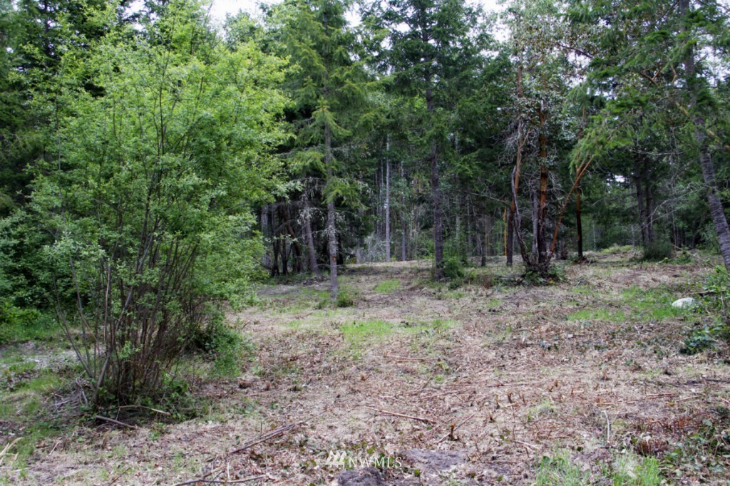 0 Fox Trail Road Port Townsend, WA 98368 - Photo 2 of 9 Gallery Image 2