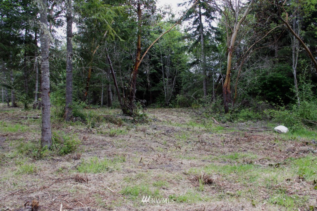 0 Fox Trail Road Port Townsend, WA 98368 - Photo 4 of 9 Gallery Image 4