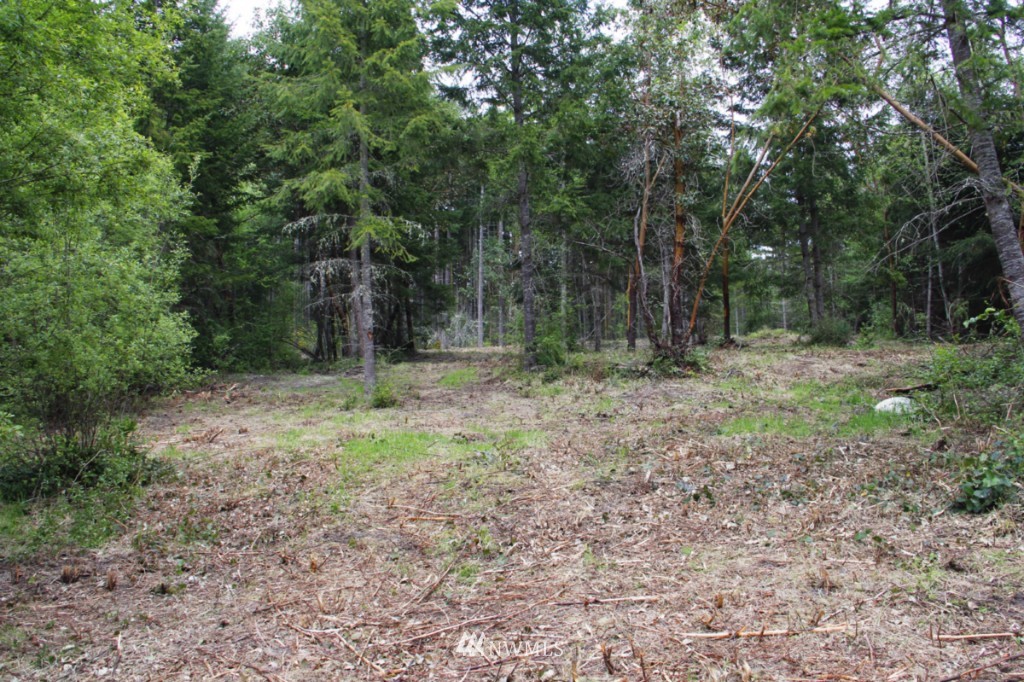 0 Fox Trail Road Port Townsend, WA 98368 - Photo 7 of 9 Gallery Image 7
