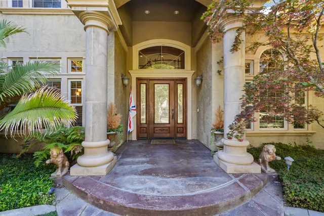 a view of a park with plants and trees