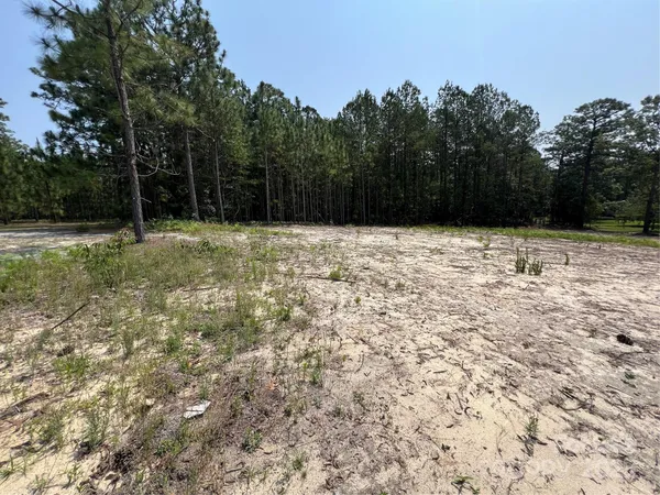 a view of empty yard