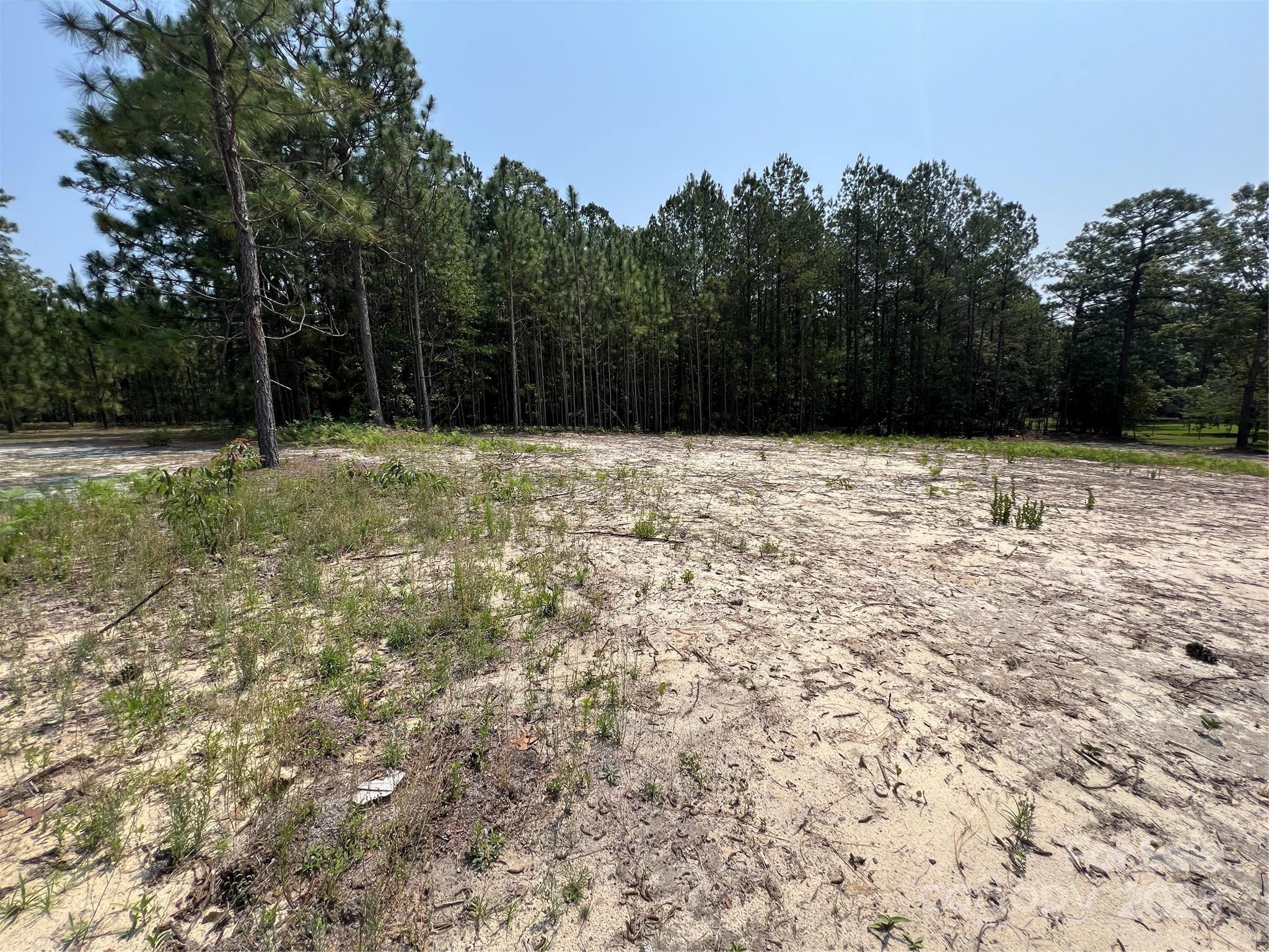 a view of empty yard