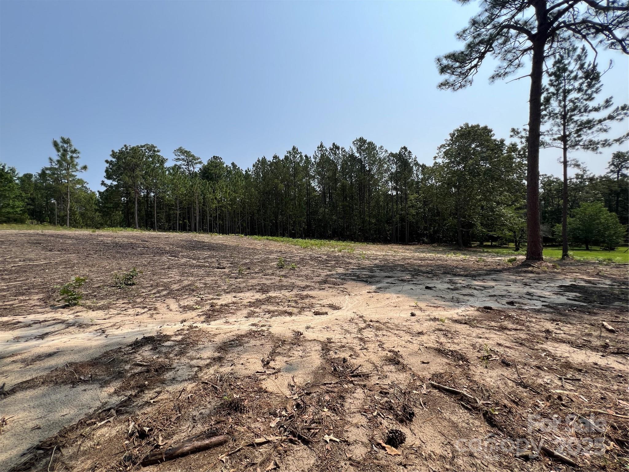 0 Ruby Road Hartsville, SC 29550 - Photo 11 of 23 a view of basketball court