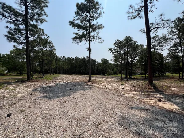 a view of a backyard with large trees