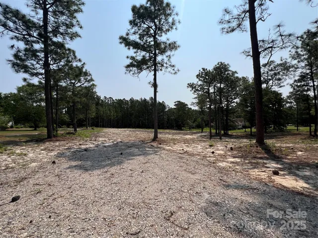a view of a backyard with large trees